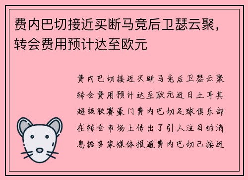 费内巴切接近买断马竞后卫瑟云聚，转会费用预计达至欧元