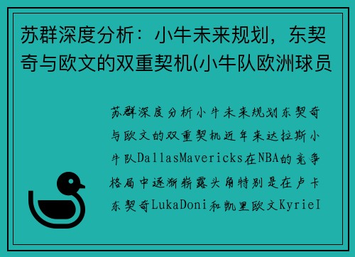 苏群深度分析：小牛未来规划，东契奇与欧文的双重契机(小牛队欧洲球员)