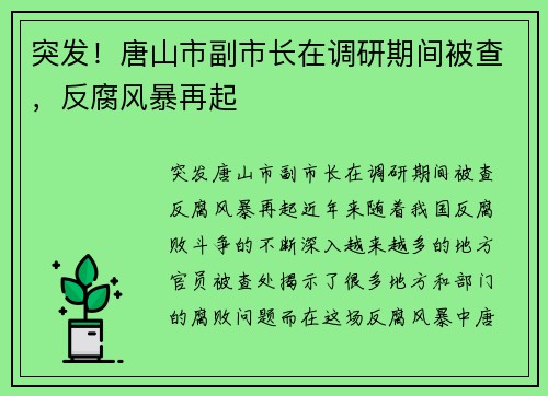 突发！唐山市副市长在调研期间被查，反腐风暴再起